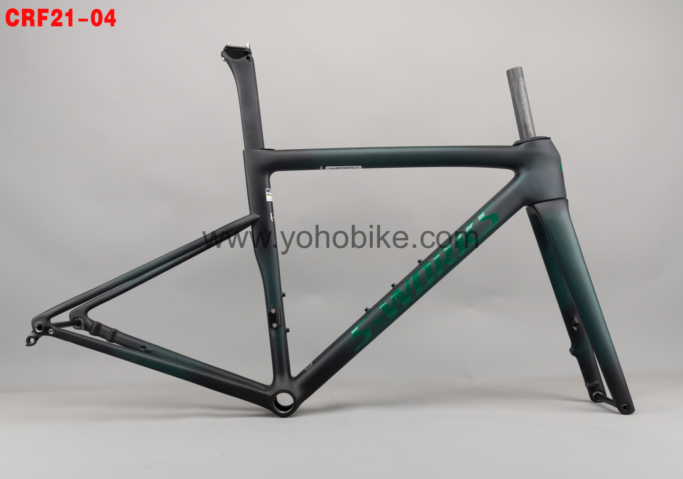 CRF21-04(重名文件-婷)