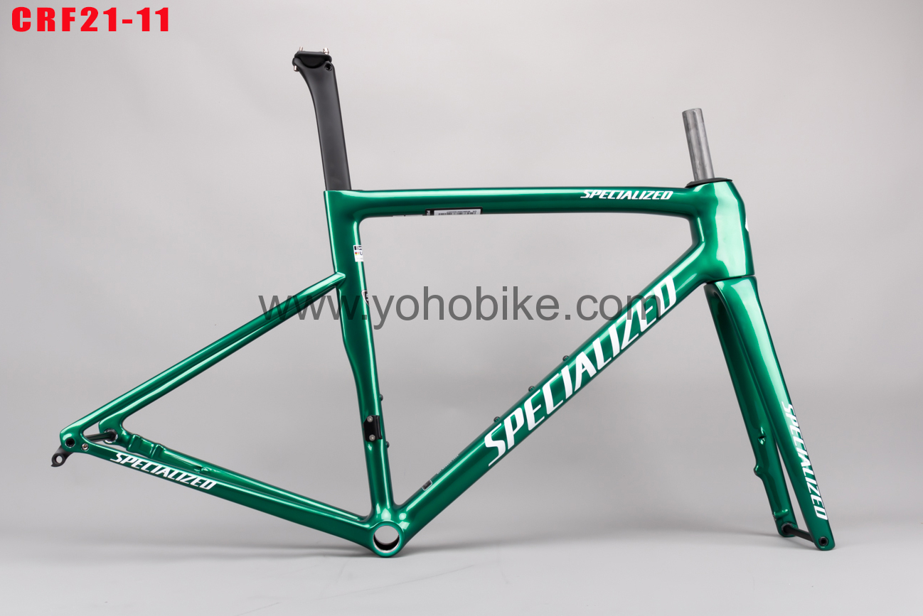 CRF21-11(重名文件-婷)