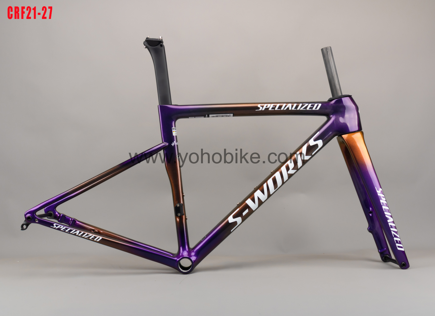 CRF21-27(重名文件-婷)