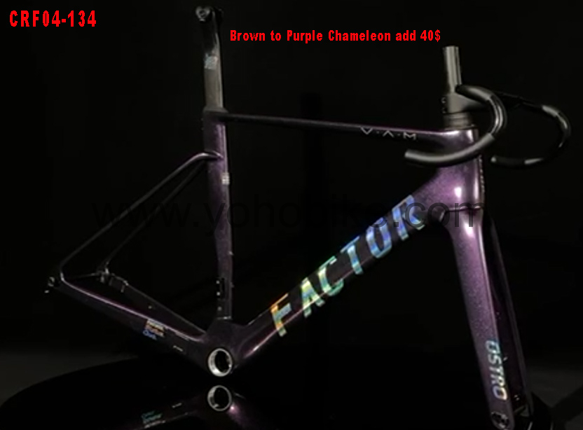 CRF04-134棕变紫变色龙