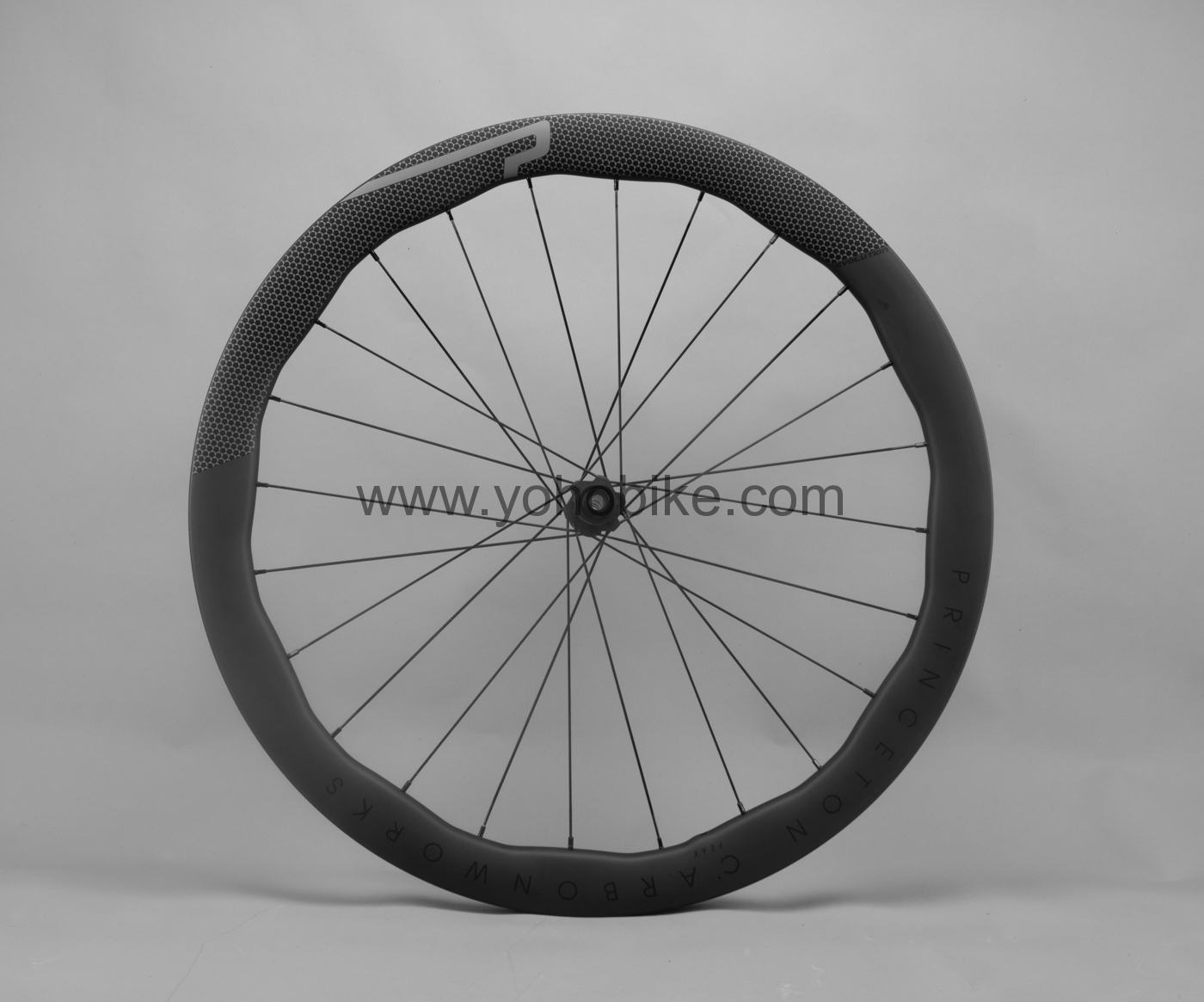 Princeton 4540/4550/5550/6560 Carbonworks 30.5mm Width Disc Brake Carbon Road Bike Wheels DT180 Hub Pillar 1420 Spokes Color Catalog - Image 7